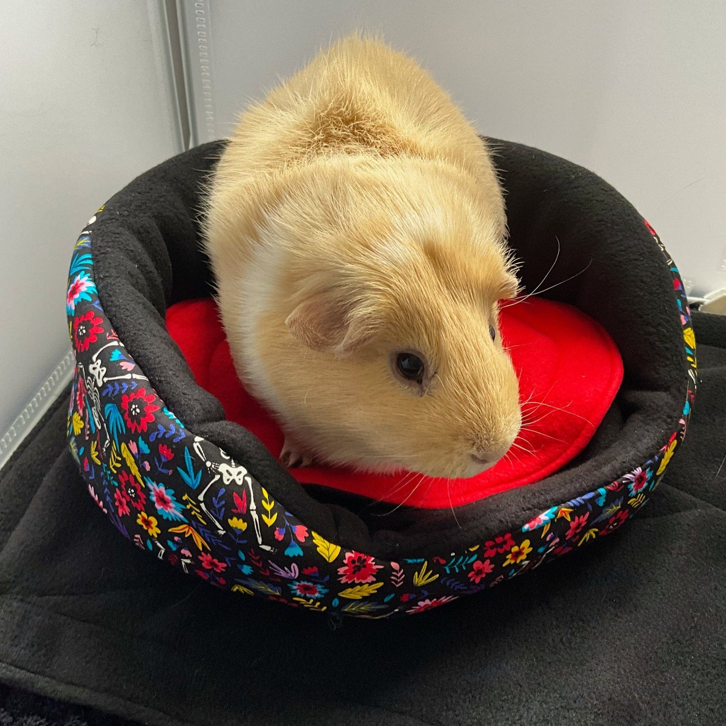 A sweet, light brown guinea pig perches upon our Blooms & Bones Fleece Bed—a gothic-glam nest woven from midnight-black fleece adorned with enchanting, jewel-toned flowers and dainty white bones. Nestled atop a plush scarlet cushion, this little companion gazes off to the right, wrapped in cozy luxury fit for pet royalty.