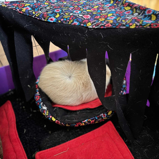 A pale guinea pig lounges in a hammock, tucked in rainbow fleece, under a dramatic black curtain forest—hauntingly cozy corner vibes.