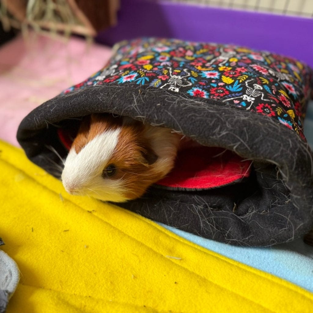 A whimsical brown and white guinea pig peeks from a black, floral tunnel bed, the gothic-glam Blooms & Bones Set glowing on gold fleece.