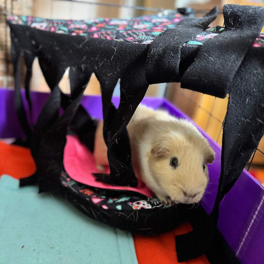 A cream guinea pig nestles in a gothic-glam black, pink, and floral hideout, savoring the plush fleece curtains’ spooky-cute charm.