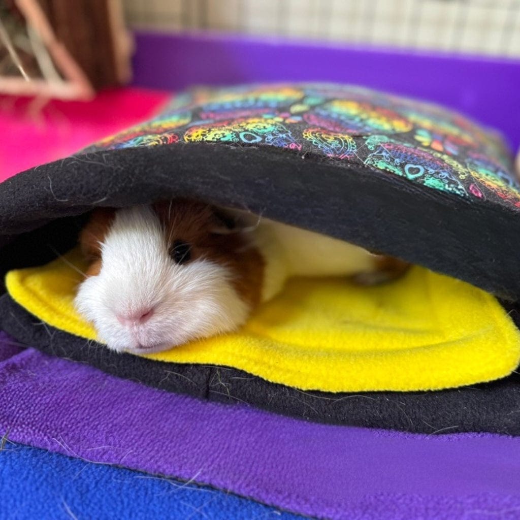 A dapper brown and white guinea pig sprawls in a plush tunnel, nestled on vivid bedding with haunting pops of purple and pink.