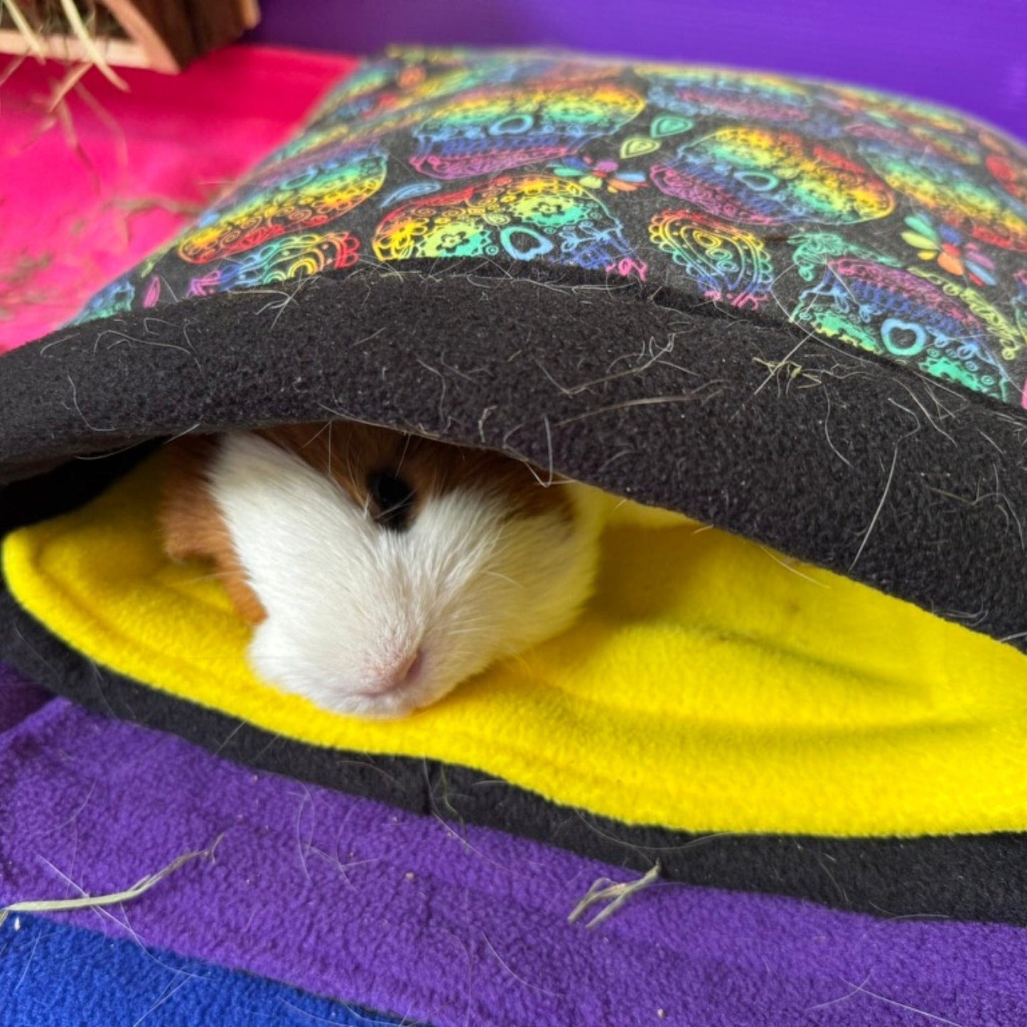 A curious guinea pig peeks out from a plush fleece tunnel, bewitched with whimsical owls in moonlit hues. The tunnel perches atop our Frightful Fiesta Matching Pee Pads—ghoulishly cheerful in haunted-house brights and sunbeam yellow lining—banishing messes like magic. All rests upon sumptuous purple and midnight blue blankets, creating a lair both spooky and sweet for your pampered pet.