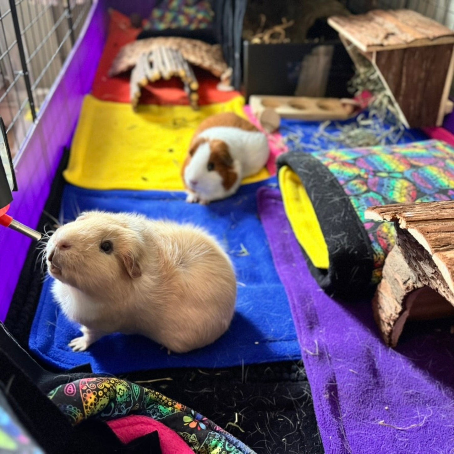 Two darling guinea pigs lounge in their whimsically ghoul-chic abode—plush velvet blankets draped like midnight capes, gothic wooden cottages casting cozy shadows, and enchanted toys scattered about. Beneath them, Frightful Fiesta Matching Pee Pads shimmer with hauntingly festive patterns—adorning the lair while banishing cleaning woes like an everyday spell. One pig sips from a crystal vial of water; the other nestles beside a shadowy hideaway, both basking in spooky-cute splendor.
