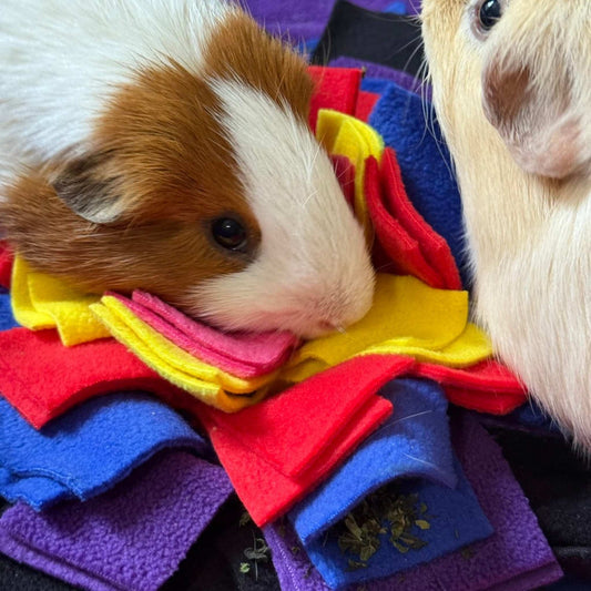 Two guinea pigs haunt the Frightful Fiesta Snuffle Mat—velvet reds, eerie blues, gothic pinks—on a playful quest for hidden treats.