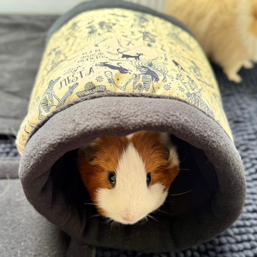 A brown and white guinea pig peeks from a gothic fleece tunnel—yellow fiesta skulls dance on black, part of the Tombstone Tango Set.