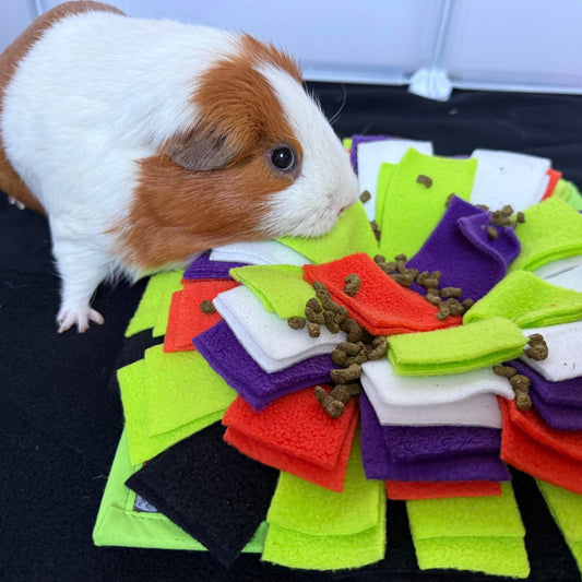A brown and white guinea pig explores the Trickster’s Treats Snuffle Mat—lush layers of jewel-toned fabric in a gothic treasure hunt.