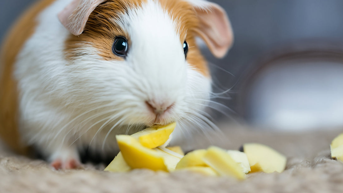 Can Guinea Pigs Eat Banana Skins? Here’s the (Peel) Truth 🍌