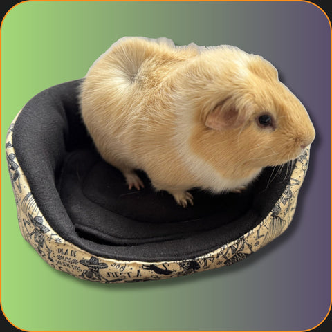 Fleece Beds