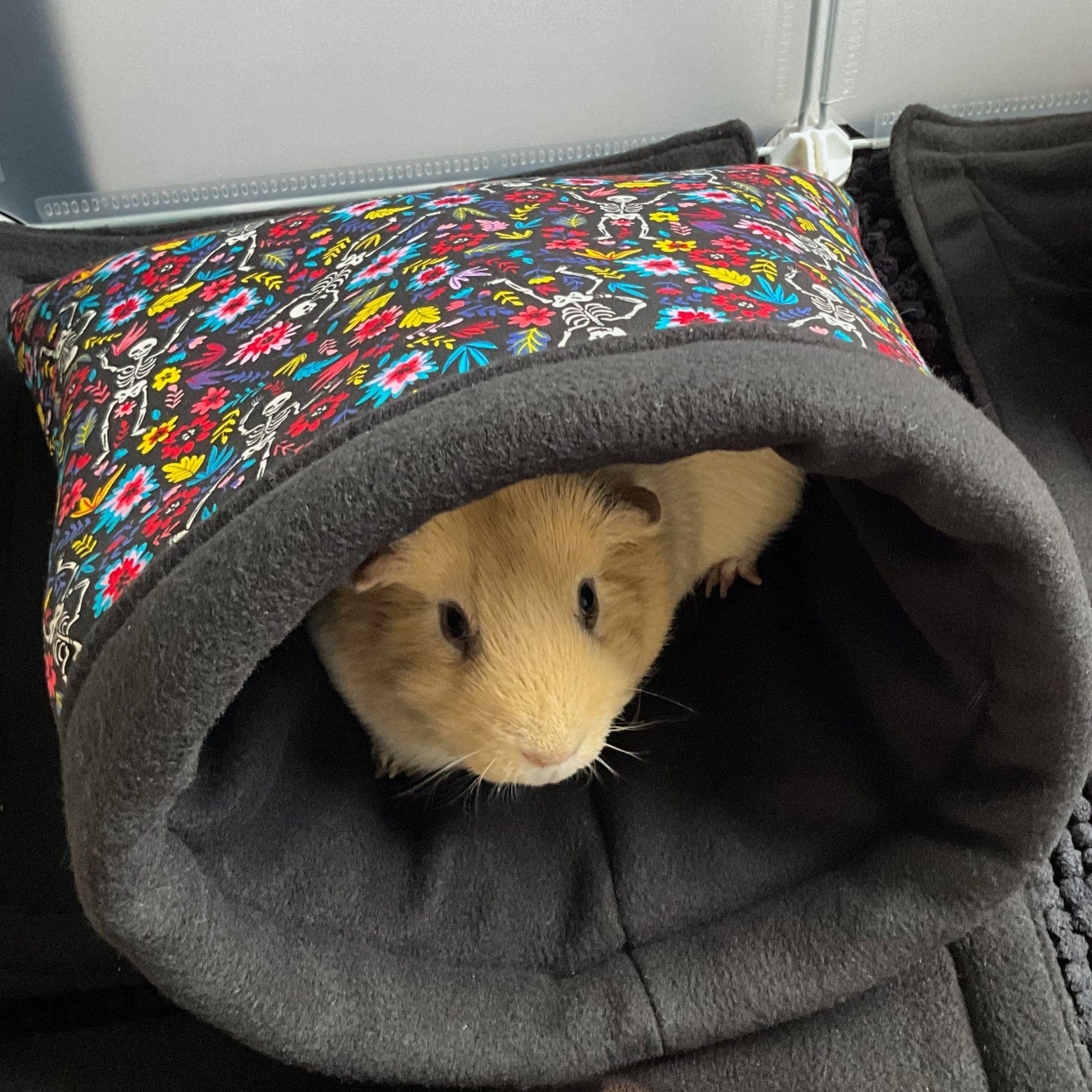 A caramel-hued guinea pig nestles enchantingly within the Blooms & Bones Snuggle Sack—a plush, gothic hideaway of midnight gray fleece crowned with bewitchingly bright, floral-patterned fabric. This whimsical lair offers cozy comfort and shadowy shelter for small companions, creating a perfect gothic-glam nap nook for guinea pigs and their adorable kindred spirits.