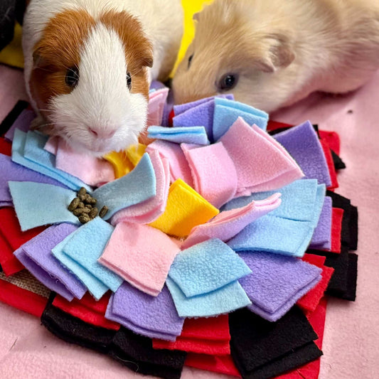 Two guinea pigs nibble treats atop a blush-pink lair, foraging through a Blooms & Bones mat with gothic petals and playful magic.