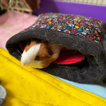 A whimsical brown and white guinea pig peeks from a black, floral tunnel bed, the gothic-glam Blooms & Bones Set glowing on gold fleece.