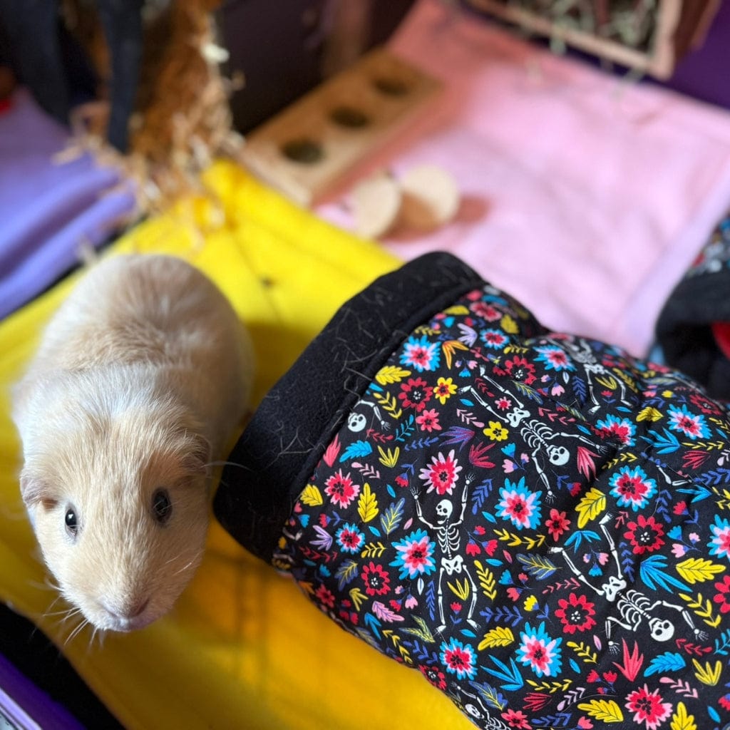 A tan guinea pig haunts plush fleece beside a vibrant, gothic-floral tunnel—Blooms & Bones Bundle magic—inside its dreamy lair.
