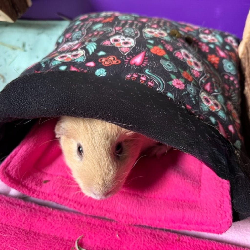 A caramel guinea pig peeks from a sugar skull Snuggle Sack—gothic-pink coziness and spooky-cute style meet on a vivid pink blanket.