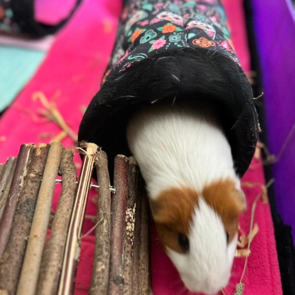 A dapper guinea pig with white and brown fur emerges from a bewitching fleece tunnel onto pink, near a gothic mini bridge—Curious Catrina Bundle snuggle set, spellbindingly cozy and now 30% off.