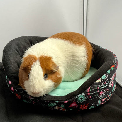 A charming brown-and-white guinea pig lounges in a goth-glam Curious Catrina Fleece Bed, decked out in festive sugar skulls, swirling florals, and vibrant jewel tones. The plush bed beckons like a haunted boudoir for your tiny familiar, set atop a pale blue blanket. Gentle shadows and cozy lighting add an enchanting touch to this spookily sweet sanctuary.