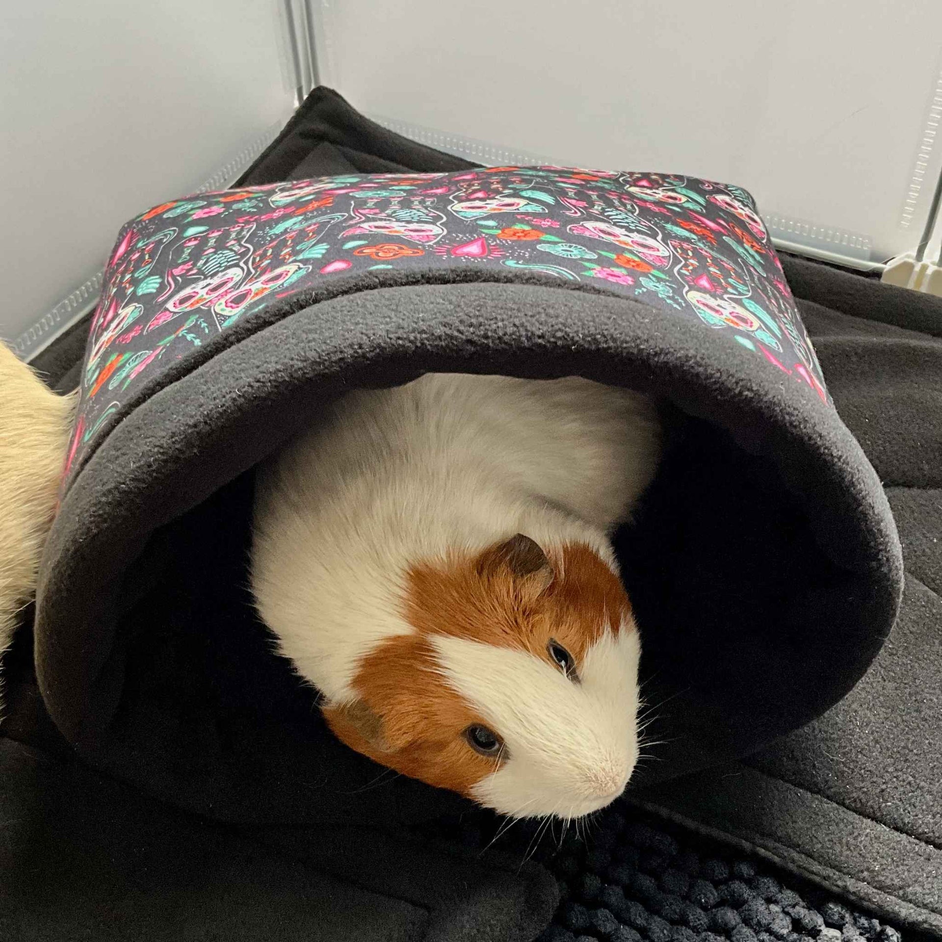 Snuggle Sack for Guinea Pigs Curious Catrina Theme – Furry and