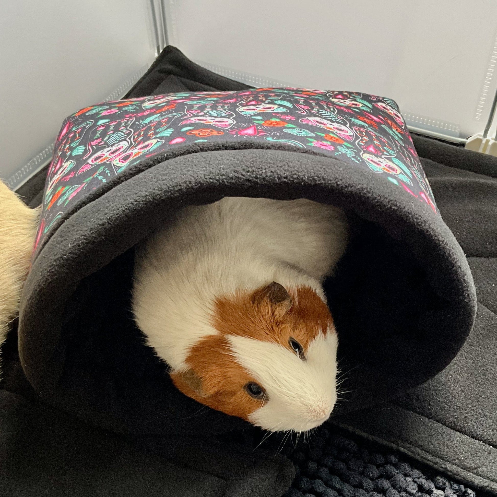 A whimsical guinea pig with ghostly white fur and a dramatic brown patch atop its head peeks out from the Curious Catrina Snuggle Sack—a gothic-glam pouch adorned with enchanting, colorful sugar skulls and midnight florals, lined in plush black fleece. The cozy crypt rests on a lush velvety black surface, making this little pet look ready for a night of spooky-cute snuggling.