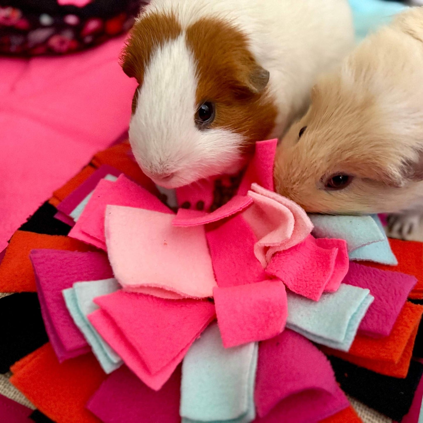 Two baby guinea pigs haunt the vibrant Curious Catrina Snuffle Mat, framed by pink velvet and eerie patterned whispers behind.