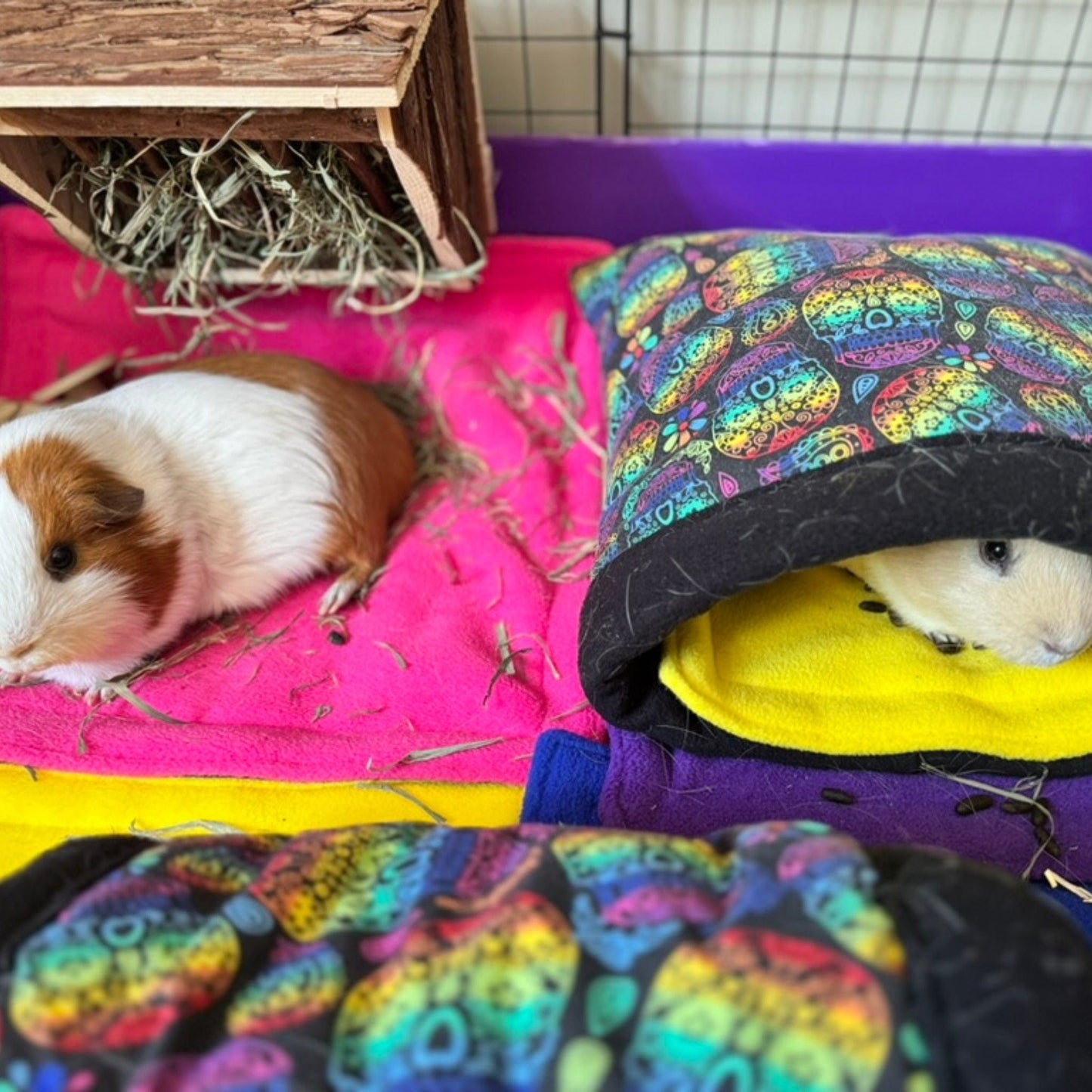Frightful Fiesta Matching Pee Pads | Take the stress out of daily cleaning