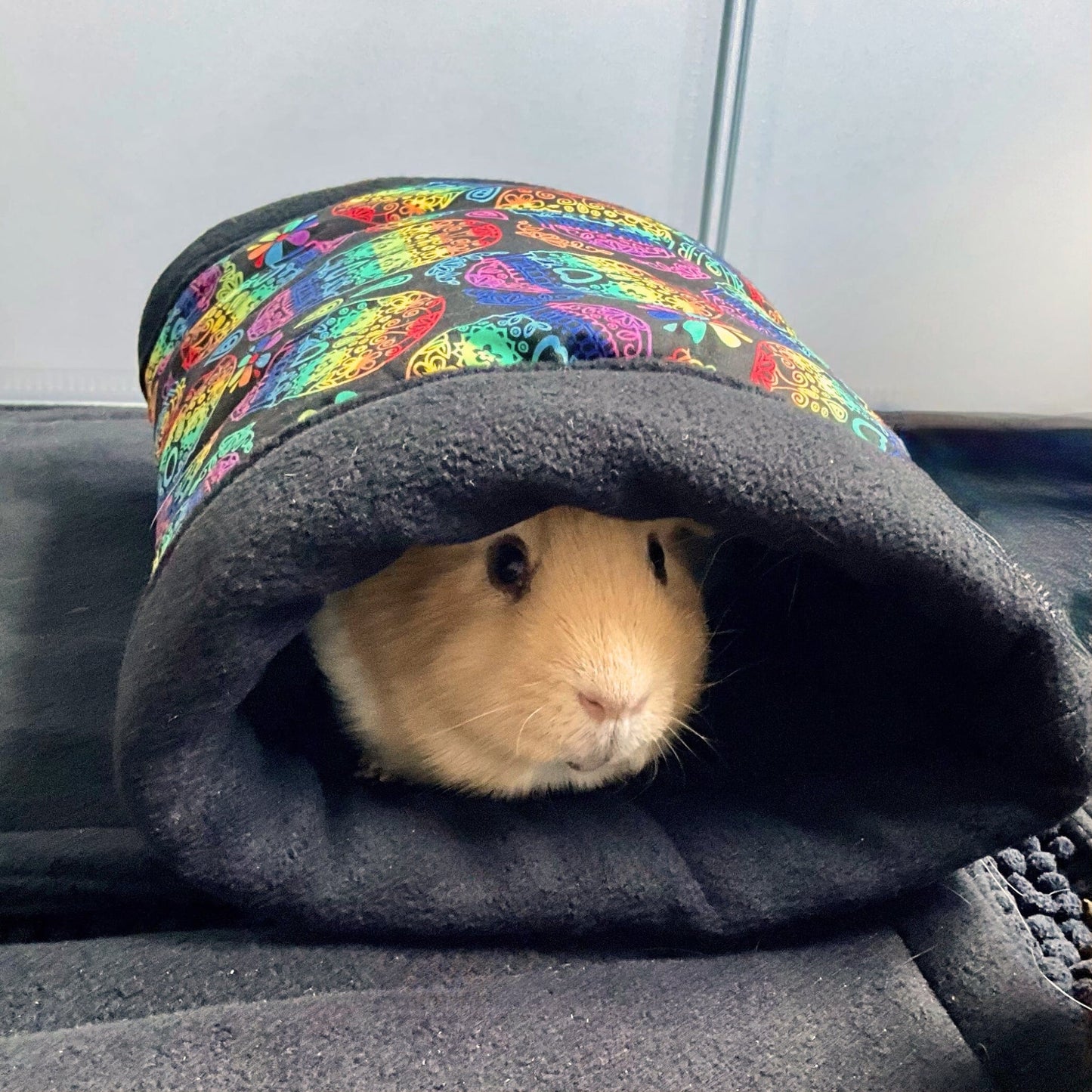 A bewitching light brown guinea pig gazes out from the shadows of a Frightful Fiesta Fleece Tunnel—a gothic-glam hideaway draped in vibrant, spellbinding patterns. Plush fleece lines every inch of this washable tunnel, inviting tiny familiars to scurry, snuggle, and burrow in cozy enchantment. Perfect for mischief and midnight zoomies!.