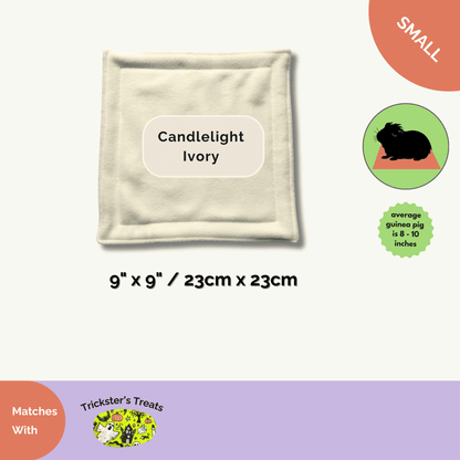 Enchanted 9x9" ivory fleece pee pad, bedecked with pastel gothic icons—a spooky-cute Halloween haven for tiny trickster pets.