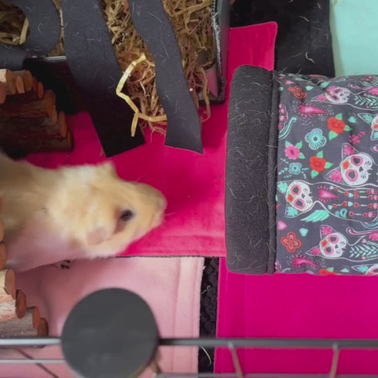 Curious Catrina Starter Set | Save 30% on the ultimate snuggle trio