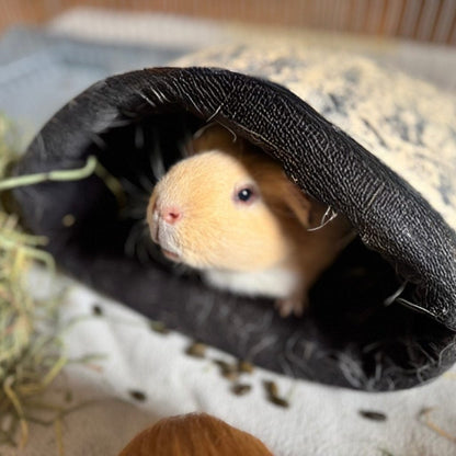 A caramel guinea pig haunts a plush black-and-white tombstone tunnel, nestled in hay—snuggle bundle chills, now 30% off!.