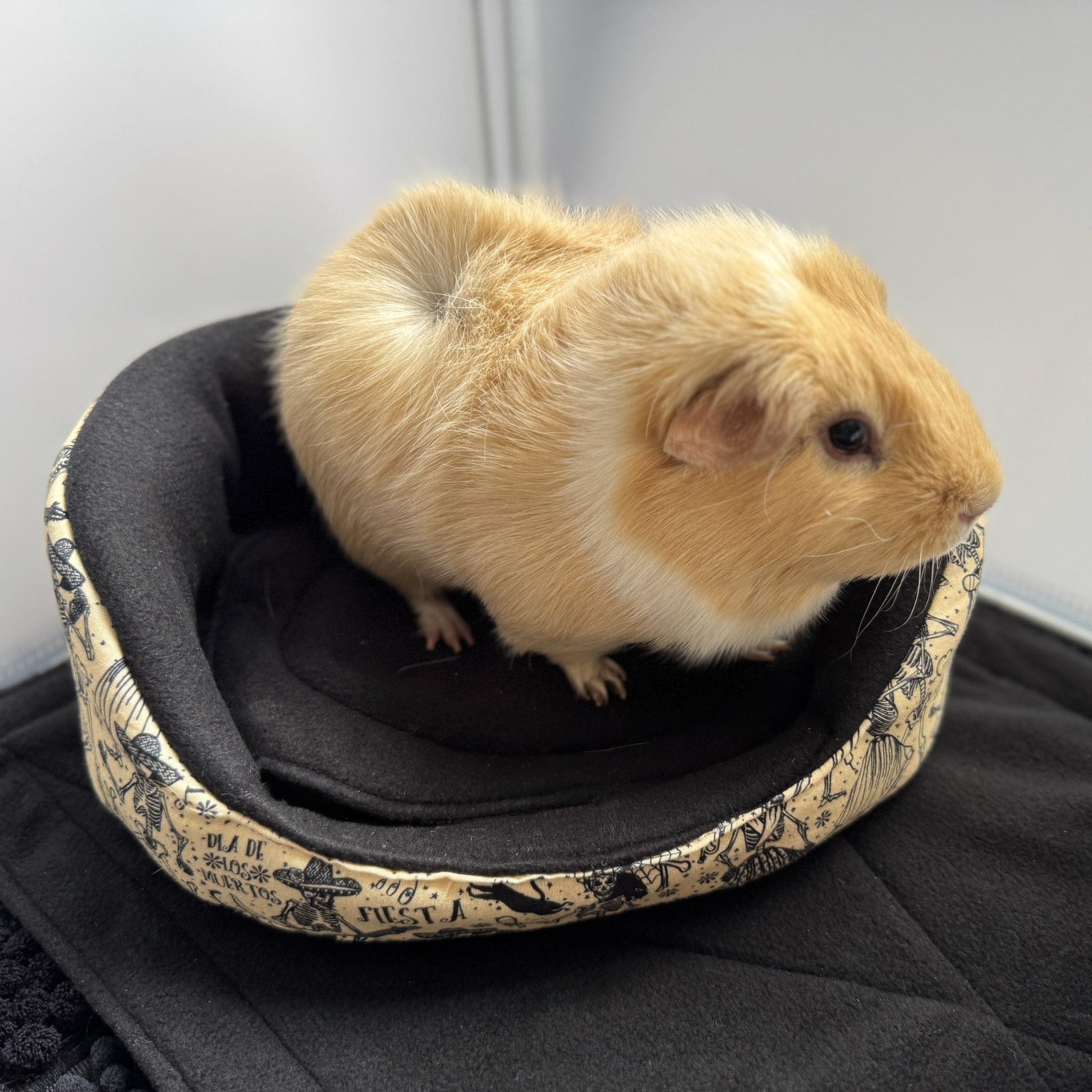A dapper light brown and white guinea pig lounges in decadent comfort atop the Tombstone Tango Fleece Bed—a gothic-glam haven adorned in midnight black with a softly cushioned beige rim. The bed is bewitched with enchanting, whimsical tombstone illustrations that dance along the sides, creating a playfully spooky retreat perfect for small pet ghouls and pumpkin pals alike.