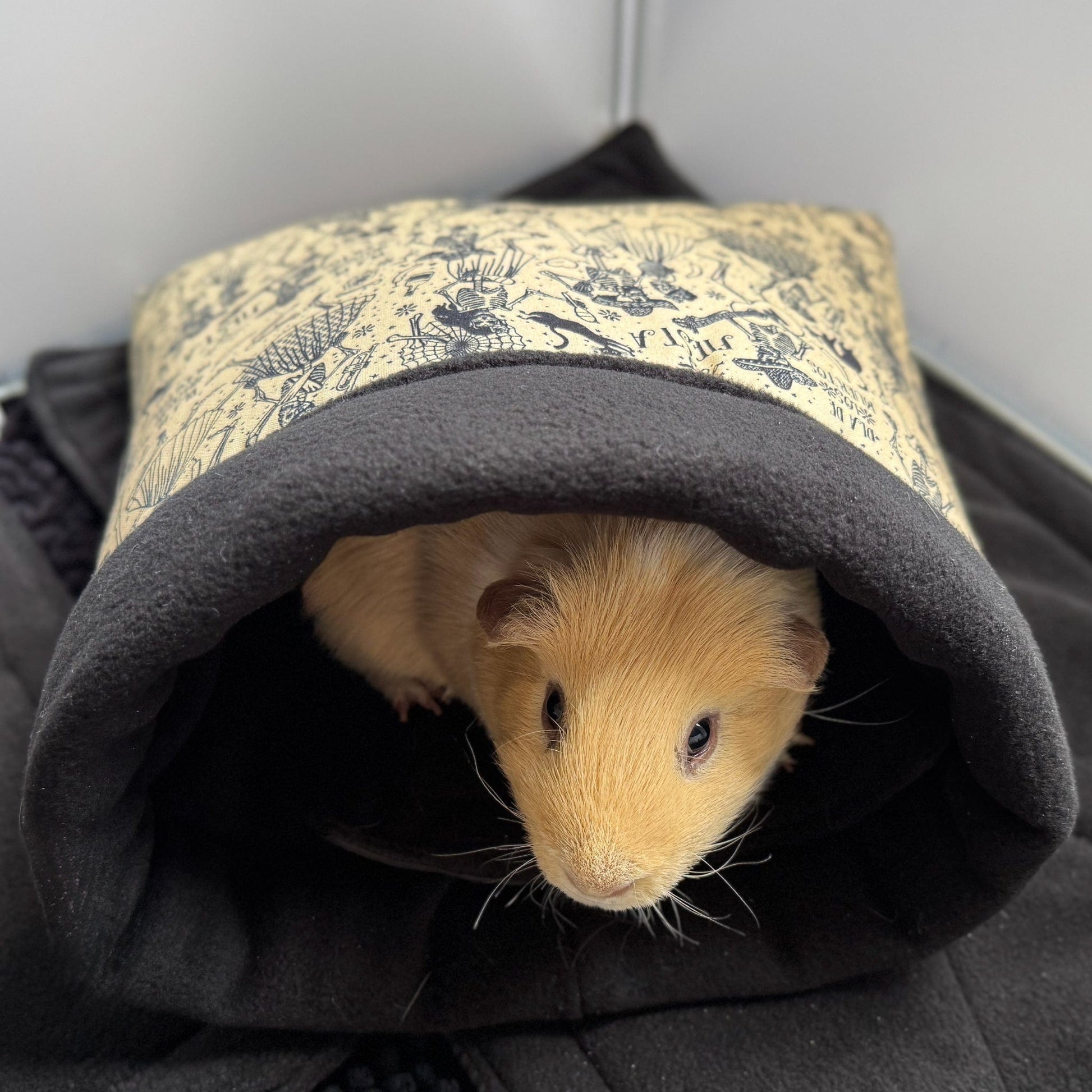 A charming light brown guinea pig peeks out like a mischievous ghost from the shadowy comfort of the Tombstone Tango Snuggle Sack. The sack’s gothic-patterned exterior and plush, midnight fleece lining create a cozy crypt for your little familiar. All this snug spookiness rests atop a velvet-soft black blanket—perfect for nocturnal nappers and whimsical warren-dwellers alike.