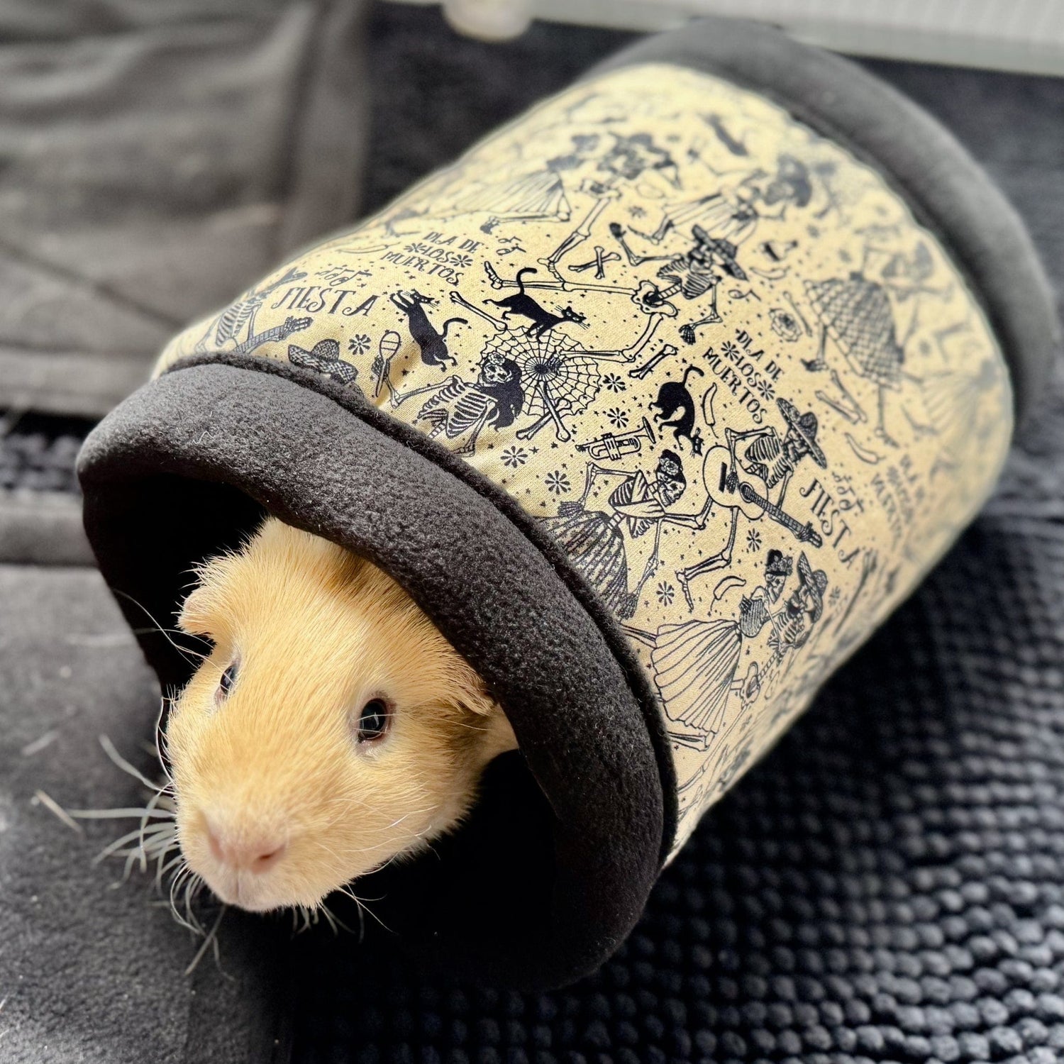 A soft caramel guinea pig peeks out from the shadowy embrace of the Tombstone Tango Fleece Tunnel—crafted in plush, midnight-black fleece adorned with playful gothic script and enchanting motifs. Perfect for moonlit zoomies, candlelit snuggles, and secret burrows, this velvet tunnel invites your little familiar to nestle in glamorously spooky comfort. The tunnel sits atop a dark, textured backdrop, adding mysterious flair to this cozy scene.