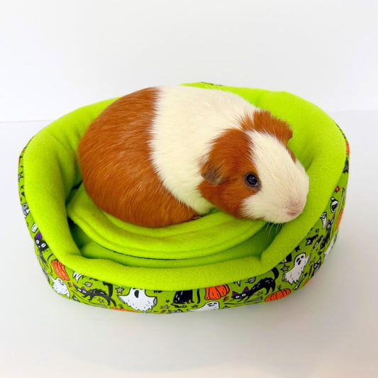 A brown and white guinea pig lounges on a vivid green fleece bed, swirling with gothic ghosts, pumpkins, and midnight-black cats.