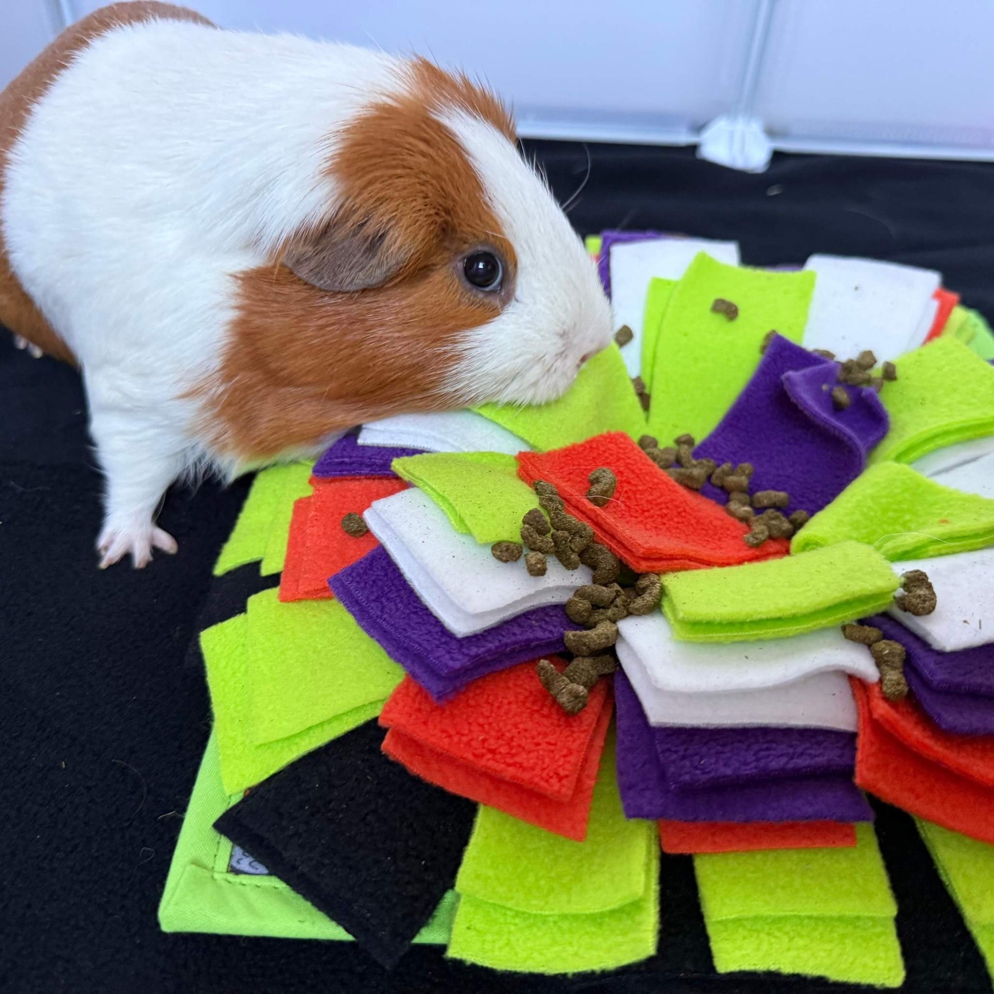 A brown and white guinea pig explores the Trickster’s Treats Snuffle Mat—lush layers of jewel-toned fabric in a gothic treasure hunt.