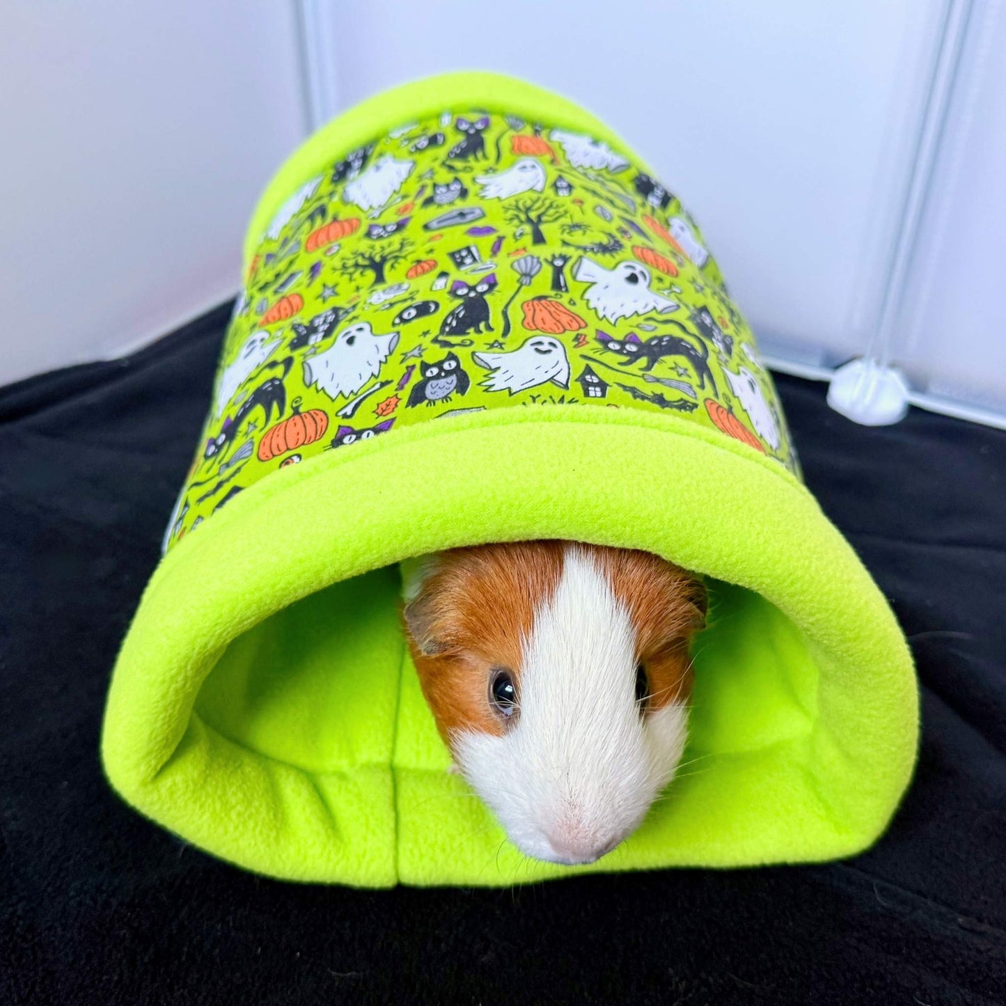 A brown-and-white guinea pig peeks from a gothic-black fleece tunnel glittered with ghostly pumpkins and bats—spooky-snuggle magic!.